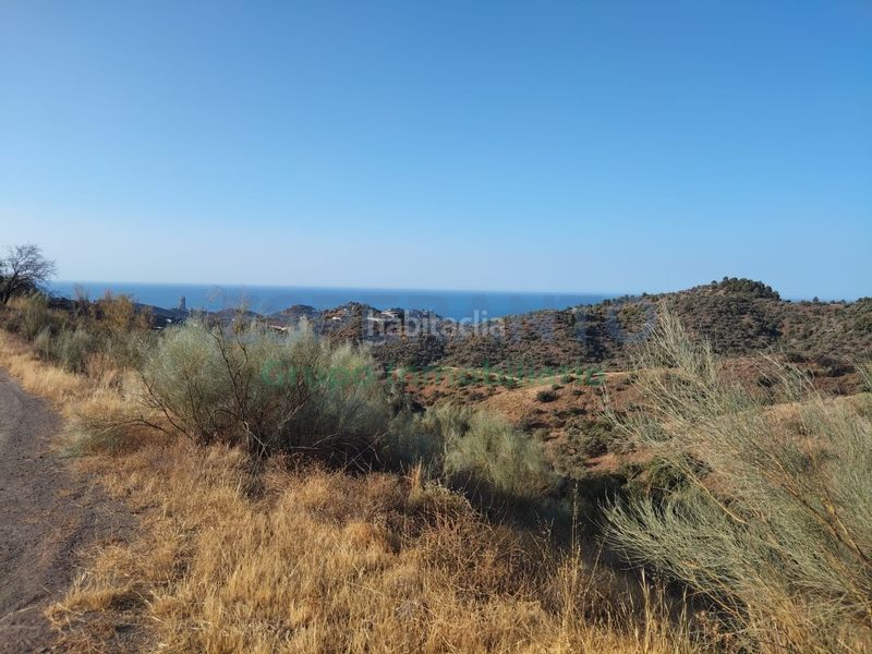 Foto d1cc6509-e3e6-4197-979c-a03d92a54e91. Terreny residencial a Pinares de San Antón Málaga