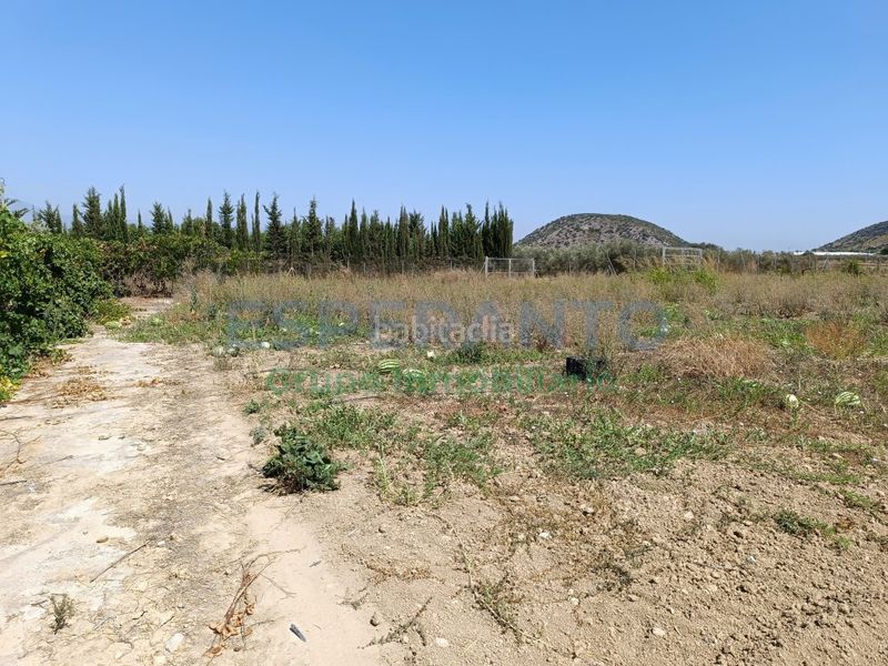 Foto 42b4f482-21f7-4091-a970-2e918c26f74f. Finca rústica a Centro Alhaurín el Grande