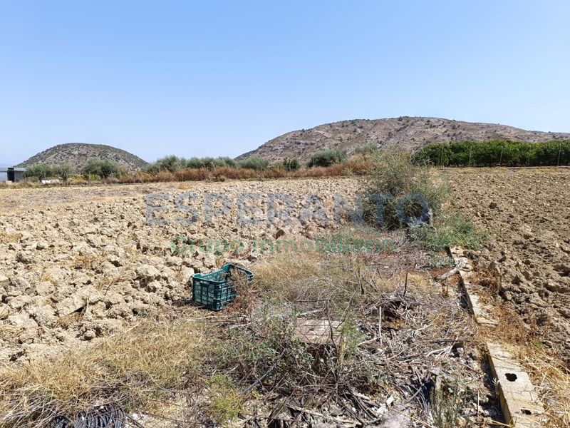 Foto c3c46e93-a389-4168-9878-7a0da49306a5. Finca rústica a Centro Alhaurín el Grande