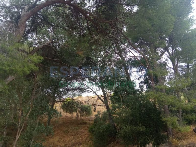 Foto 555c99ff-500d-413d-952d-743c95a753c8. Masia amb calefacció aparcament a Pinares de San Antón Málaga