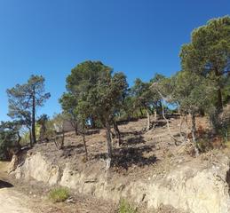 Terreny residencial a Carrer mar negre 33. Solar 520m2 urbano edificable / residencial en lloret de mar