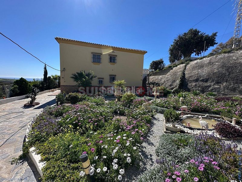Foto 5d7cccc3-df0c-4aae-a516-00d5013e29ce. Country house with pool in Almayate Bajo