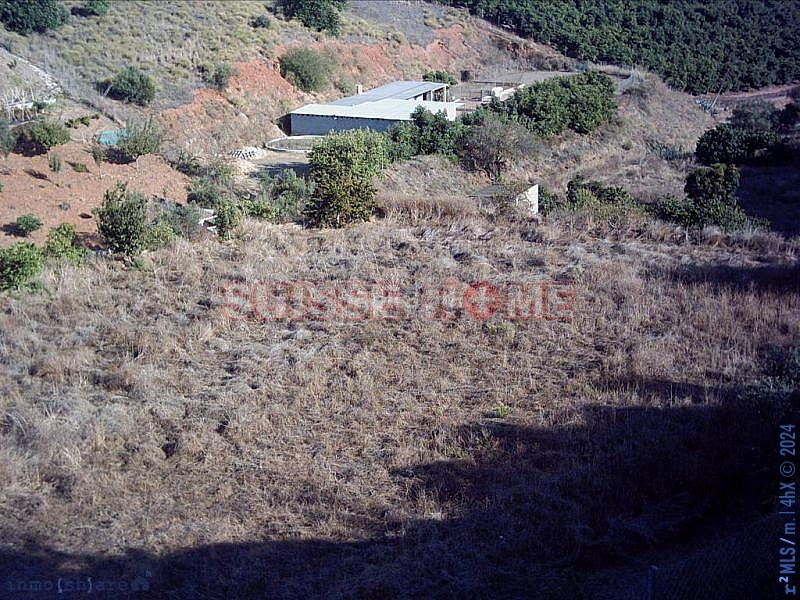 Foto 92a88b92-008f-423b-9a76-09a8a297815c. Masía precioso chalet en el campo cerca de la costa en Almayate Bajo