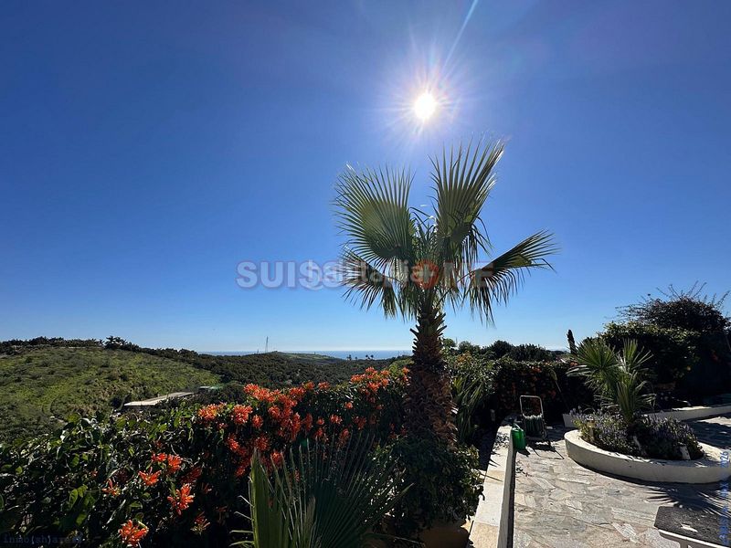 Foto eb039ca7-8ff9-42ea-91ce-8ff13c19330f. Country house with pool in Almayate Bajo