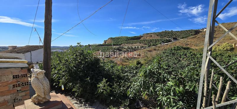 Foto 447f920d-c3a8-4ef6-bd3b-9e8405a95078. Masia a Camino Algarrobo - Las Arenas Vélez - Málaga