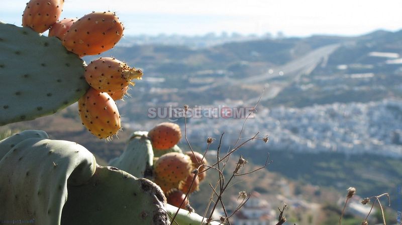 Foto 6ee0d902-7ba9-4e9c-9304-51c59b67dfcd. Casa amb calefacció aparcament piscina a Torrox pueblo Torrox