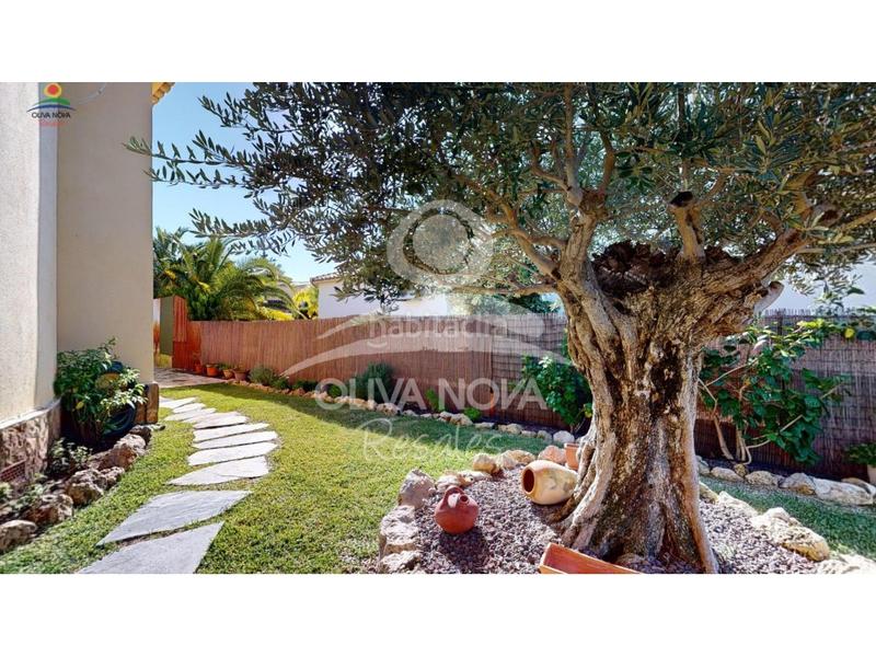 Foto 2d7b3cfc-387e-4456-b34c-a3dc3fa61058. Maison avec parking dans Oliva nova Oliva