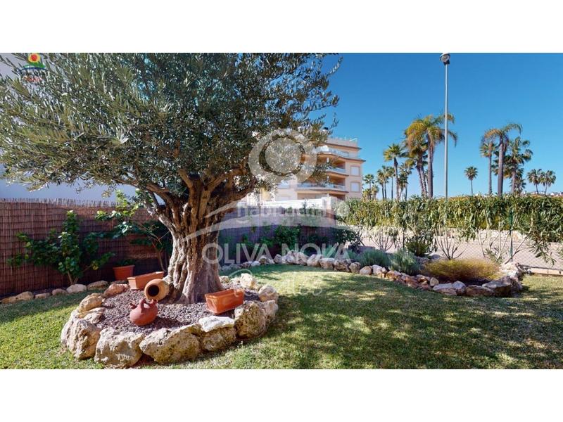 Foto 84aa3415-6374-4ac4-b6db-ca638f47adcc. Maison avec parking dans Oliva nova Oliva