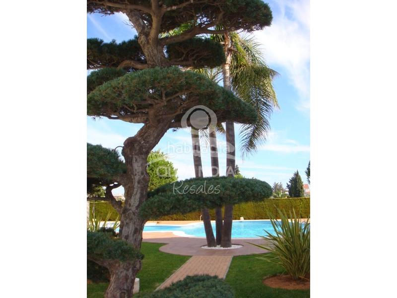 Foto e6fbfb02-8225-4175-b027-46d425a7cb0e. Appartement avec parking piscine dans Oliva nova Oliva