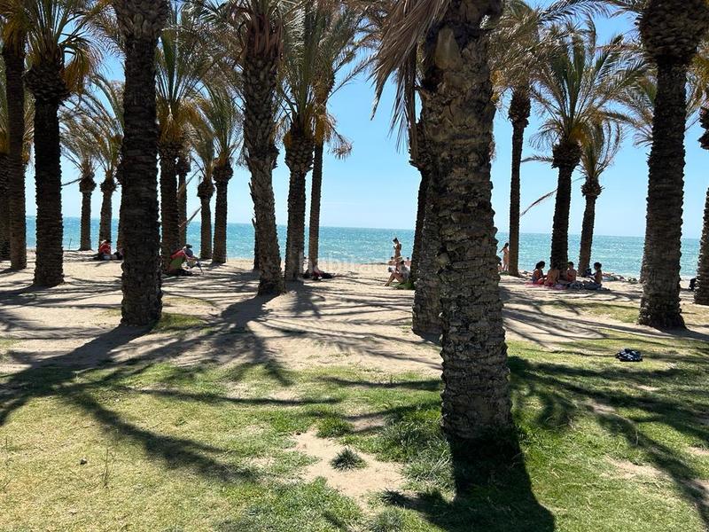 Foto dfb8ef07-edc3-45cd-a0e3-e4dd2dc204a9. Piso en Los Álamos Torremolinos