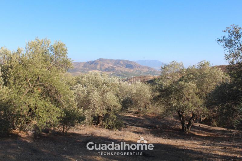 Foto 1a2f9634-2418-4f4c-ae2f-805e0ea950b9. Finca rústica a diseminado poligono 18 17 a Álora