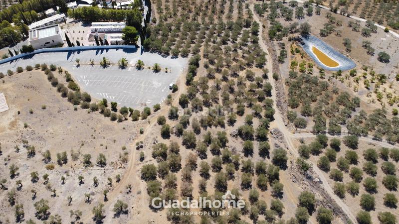 Foto 6fa0d25b-fc3b-4d15-9c7b-824a002b9448. Finca rústica a diseminado poligono 18 17 a Álora