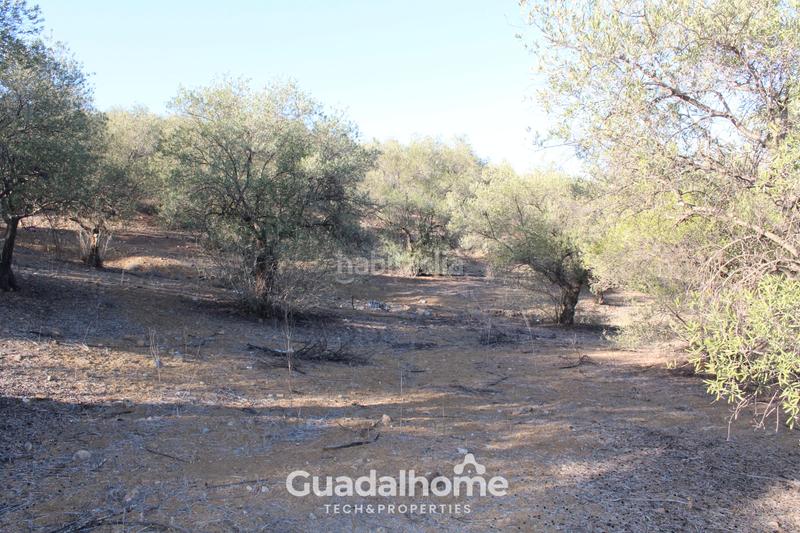 Foto 9b3da0e1-ab78-4e1a-810e-64395c4e5af9. Finca rústica a diseminado poligono 18 17 a Álora