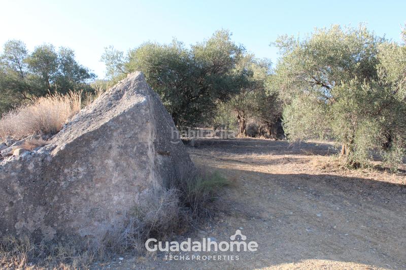 Foto ae16773b-e360-454d-8099-902b175c1e8c. Finca rústica a diseminado poligono 18 17 a Álora