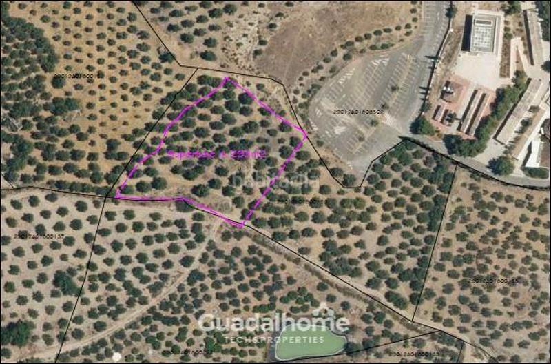 Foto b1d07913-8835-42a0-8056-88fba30fe182. Finca rústica a diseminado poligono 18 17 a Álora