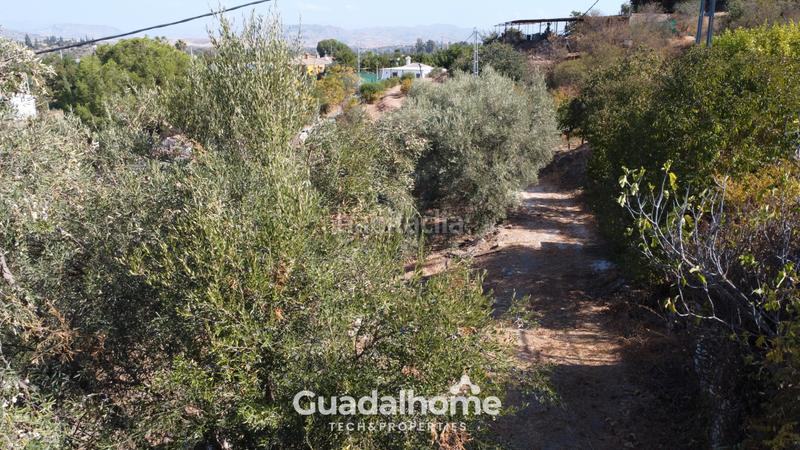 Foto 2c6d2d59-0ad5-4cee-96ab-abe02a519641. Mas avec piscine dans Coín