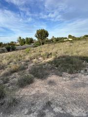 Finca rústica a Partida valverde bajo 2060. Terreno de valverde