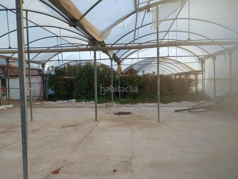 Foto 02457e5c-5a48-4337-87c1-0778a8b6a200. Finca rústica a cv-84 9005 a El Toscar Elche / Elx