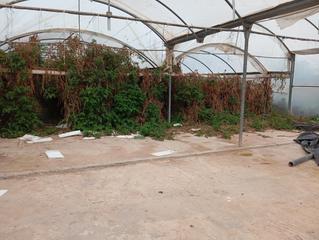 Finca rústica a Cv-84 9005. Venta de invernaderos