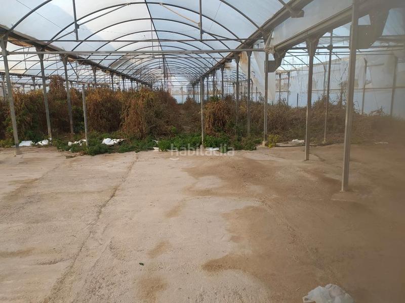 Foto 71e0eadb-a209-4c9a-950b-4185be7b74e4. Finca rústica a cv-84 9005 a El Toscar Elche / Elx