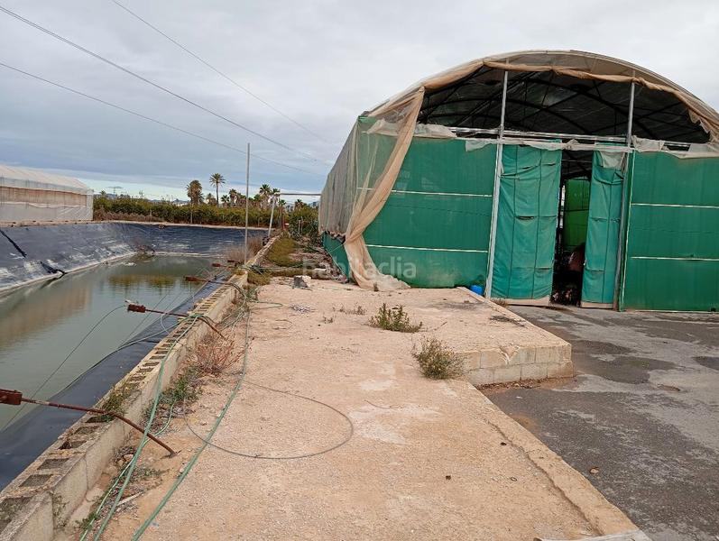 Foto 96eae83e-8721-43a8-a2cf-2155b79c418e. Finca rústica a cv-84 9005 a El Toscar Elche / Elx