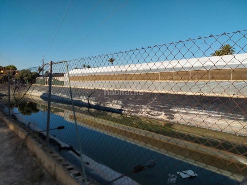 Foto c152d328-47e5-4972-8658-3c0c9e4149b5. Finca rústica a cv-84 9005 a El Toscar Elche / Elx