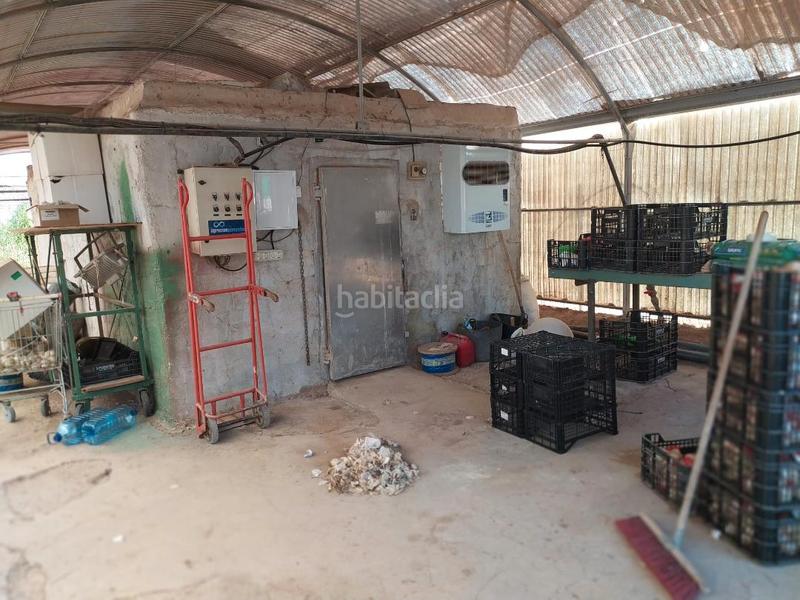 Foto e348ff80-0fa0-4ebd-914a-da339d53777f. Finca rústica a cv-84 9005 a El Toscar Elche / Elx