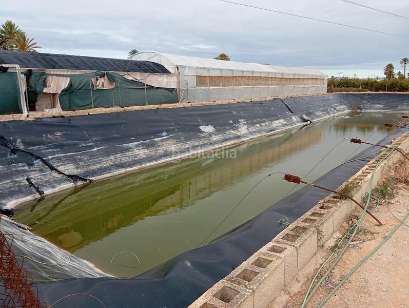 Foto e8e7829e-ff82-4841-aa73-1f60f1ea4e7d. Finca rústica a cv-84 9005 a El Toscar Elche / Elx