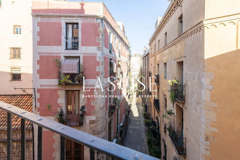 Foto ad211897-6acc-4cc5-af87-8ec35196b3c5. Pis a St. Pere - Sta. Caterina - El Born Barcelona