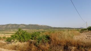 Finca rústica a Salinas. Terrenos para construir en salinas