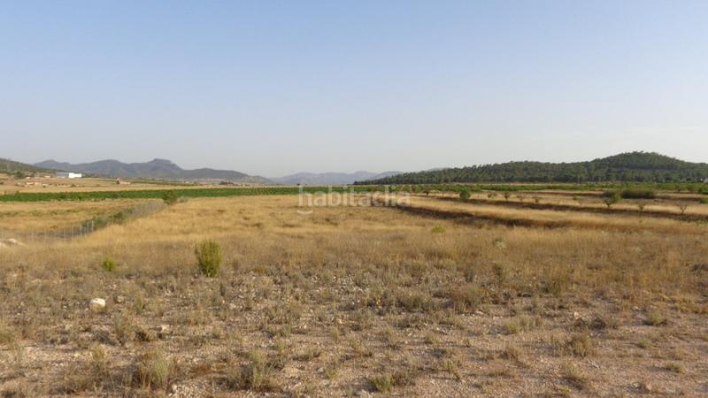 Foto e77e9ca5-df62-4775-b888-ba09fa1c8b00. Propriété dans Salinas