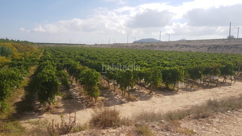 Foto 01382668-c3e1-4670-9eed-cdaa97ff49a2. Propriété dans Agost