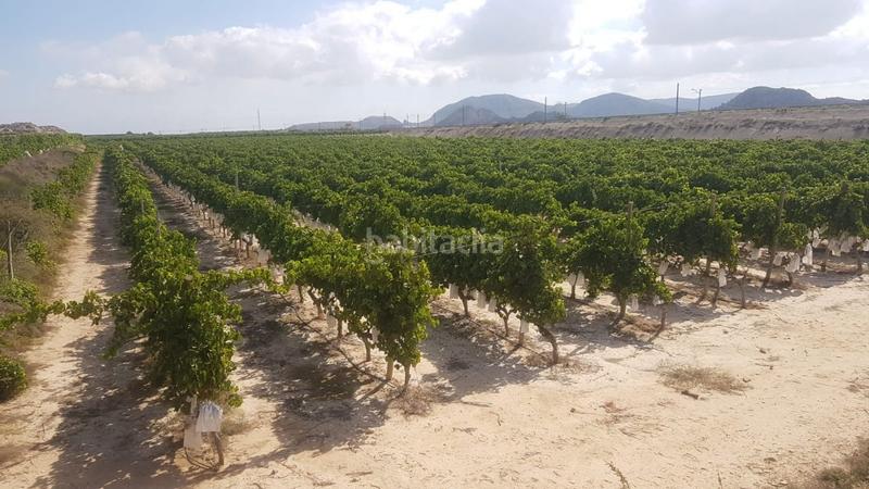 Foto 74d6ea08-bded-4adb-bc5f-0f1a8fb0e8f1. Propriété dans Agost