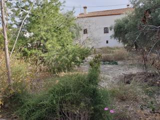 Casa en Petrer. Buena oportunidad