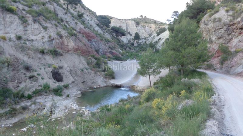 Foto 39aa32d9-4dfe-4117-81fa-44f32659abe9. Finca rústica oportunidad!! en Petrer