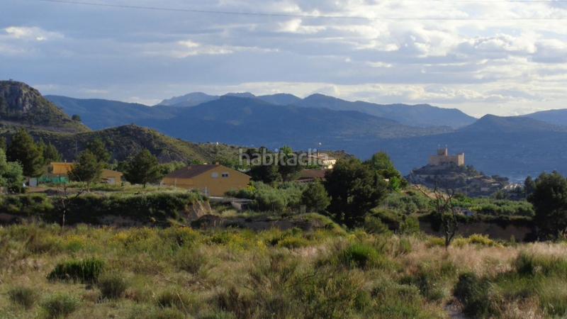 Foto 8226b832-f056-4ace-ac9d-3a92dc979e04. Finca rústica oportunidad!! en Petrer