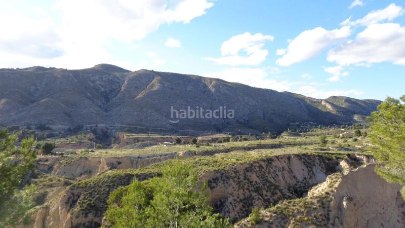 Foto 853095b5-27dd-4dc9-b6ce-cd021e17d183. Finca rústica oportunidad!! en Petrer