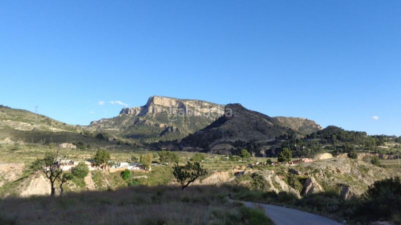 Foto 8dc73caf-9372-448f-8135-d0585b008c98. Finca rústica oportunidad!! en Petrer