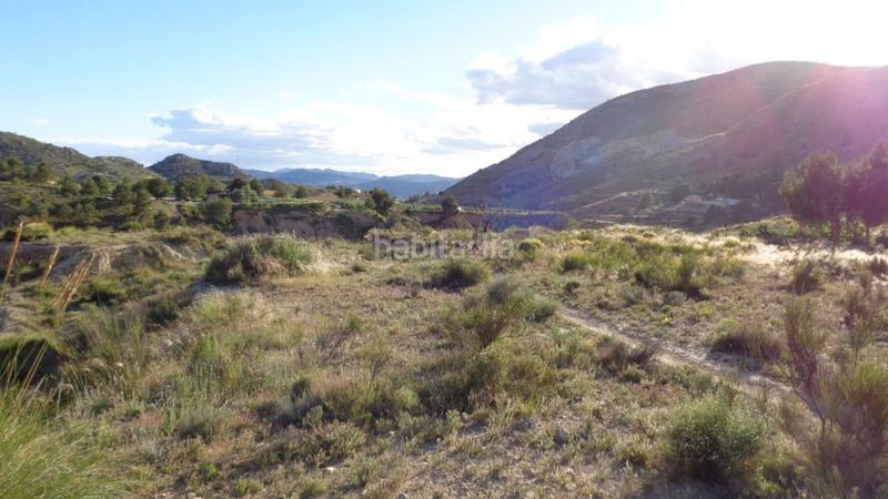 Foto 908211cc-90b6-4933-b166-11cef3d1ecd7. Finca rústica oportunidad!! en Petrer