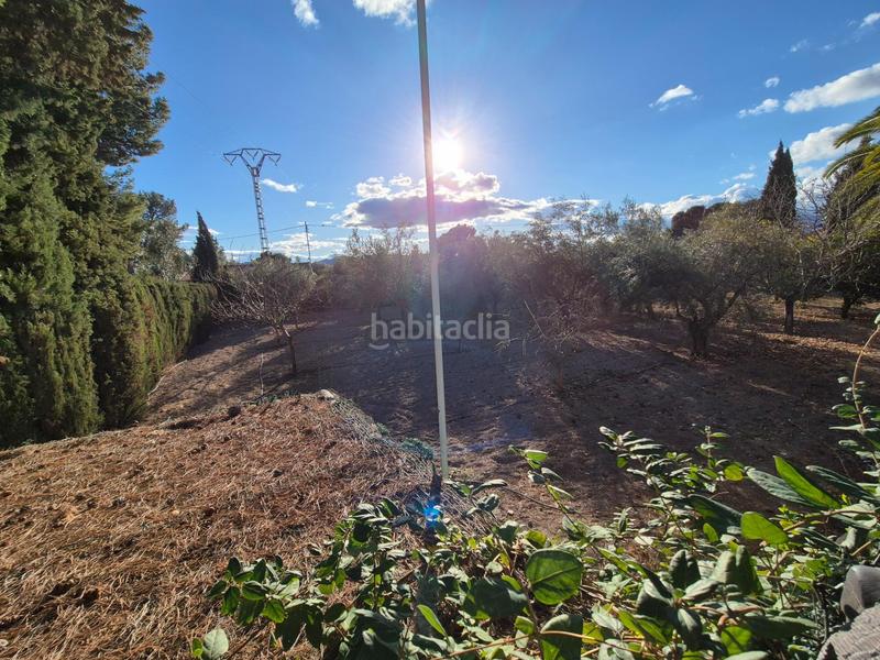 Foto 7b1928c5-65d0-499e-b0a2-e0ef24b48bb9. Chalet  a la venta en Campo Alto-Club de Campo Elda