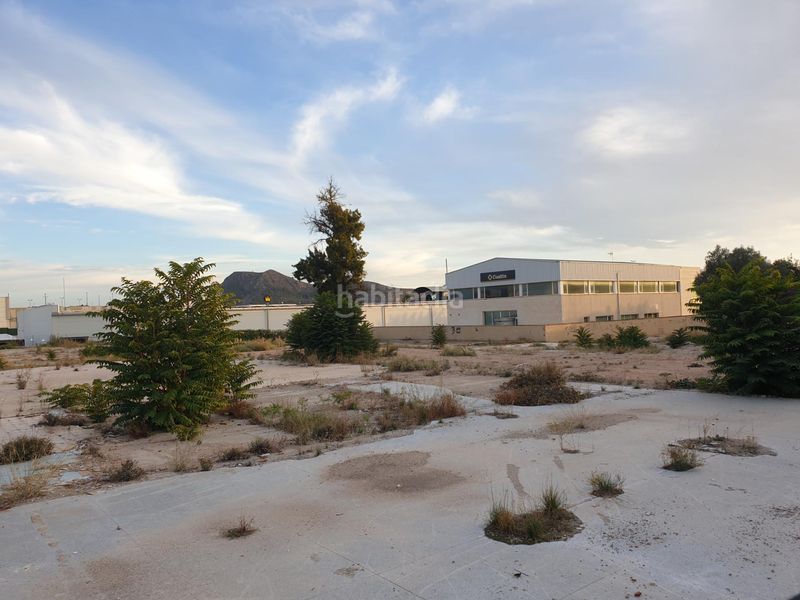 Foto 38dd3af0-2a88-414f-919b-e3fe3d34ff2e. Terreny residencial a Campo Alto-Club de Campo Elda
