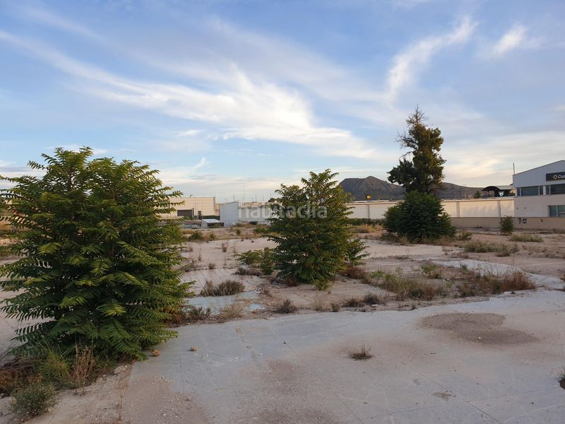Foto d21805df-39b7-412b-bdd6-12b0371bfd36. Terreny residencial a Campo Alto-Club de Campo Elda