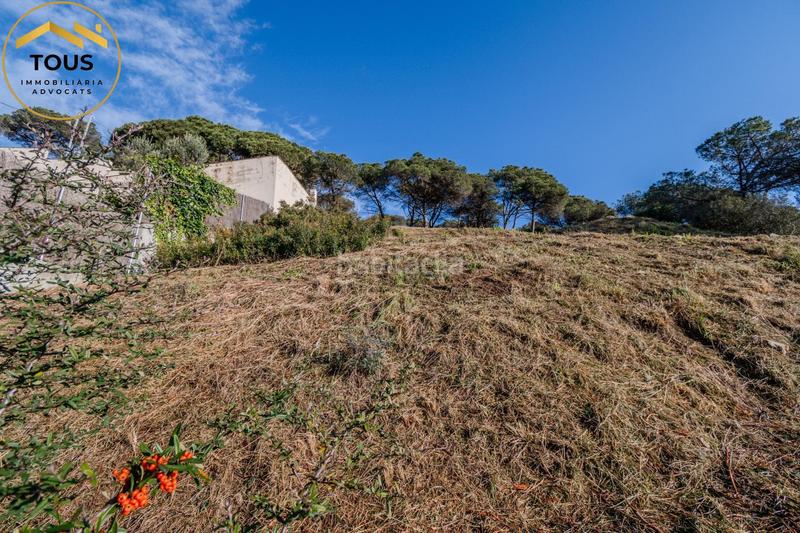 Foto 8a040100-8d2d-4427-9d9f-19334d813a81. Terreny residencial a Dosrius poble Dosrius