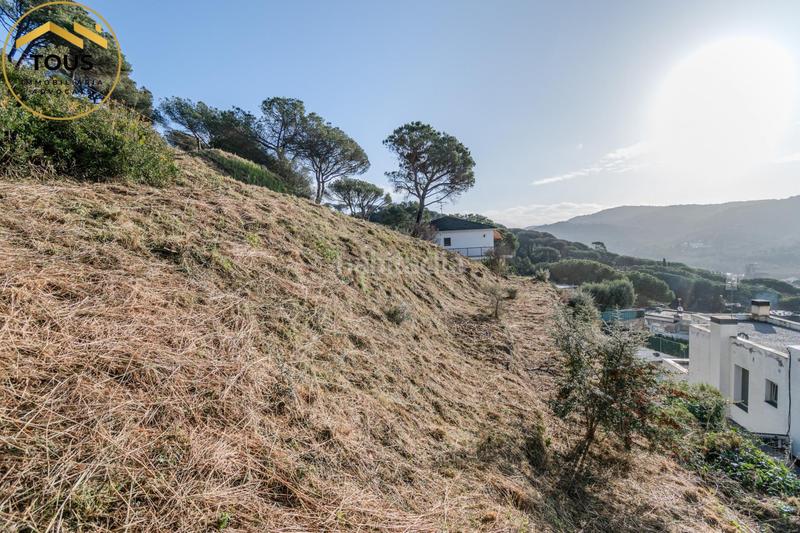 Foto cee9e4de-e871-4871-ad3e-dc4d20e97ab9. Terreny residencial a Dosrius poble Dosrius