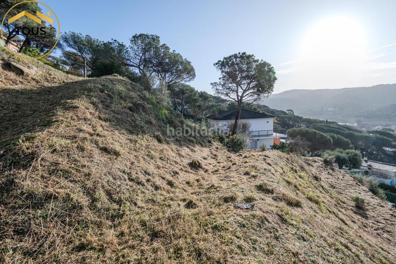 Foto de4475bf-c9c3-49be-b6f9-e4b2cb4ab960. Terreny residencial a Dosrius poble Dosrius