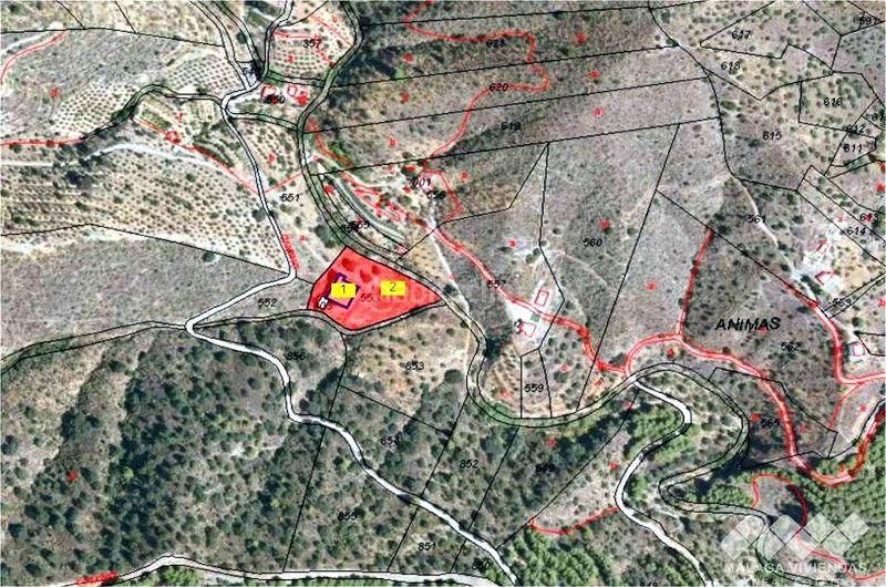 Foto f41d66e4-4d88-443b-8592-867c1b5125df. Finca rústica a Pinares de San Antón Málaga