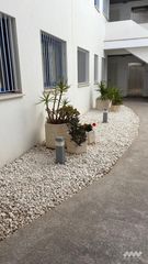Erdgeschoss  Torremolinos. Apartamento en planta baja en los boliches