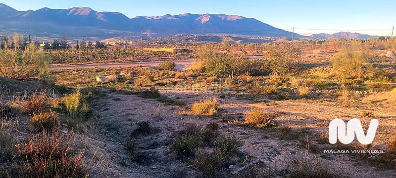 Foto 95b7346f-2204-432e-94b9-e01a78c23108. Terreno residenziale in Alquería-Torrealquería Alhaurín de la Torre