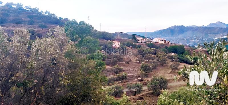 Foto c1b4e738-9ef5-4ab0-af54-7d972b315b6b. Terreny residencial a Chaparil - Torrecilla - Punta Lara Nerja