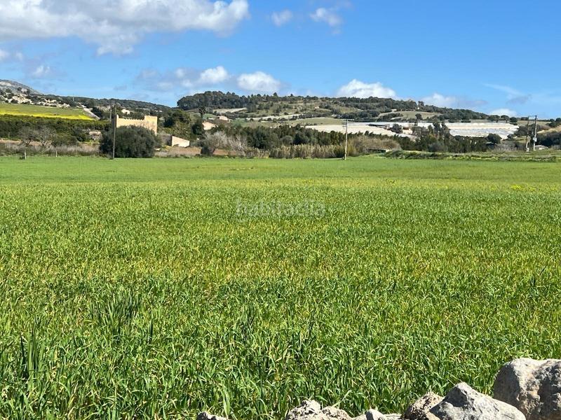 Foto c64f0154-cd8f-4c67-8c18-b5bca26da58b. Casale in Manacor centre Manacor